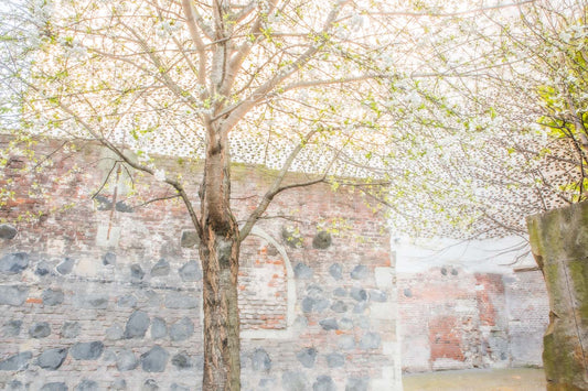 Station forecourt 01