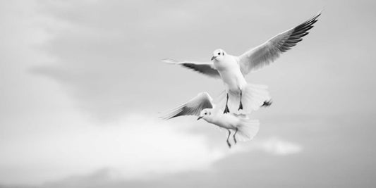 Station forecourt 01