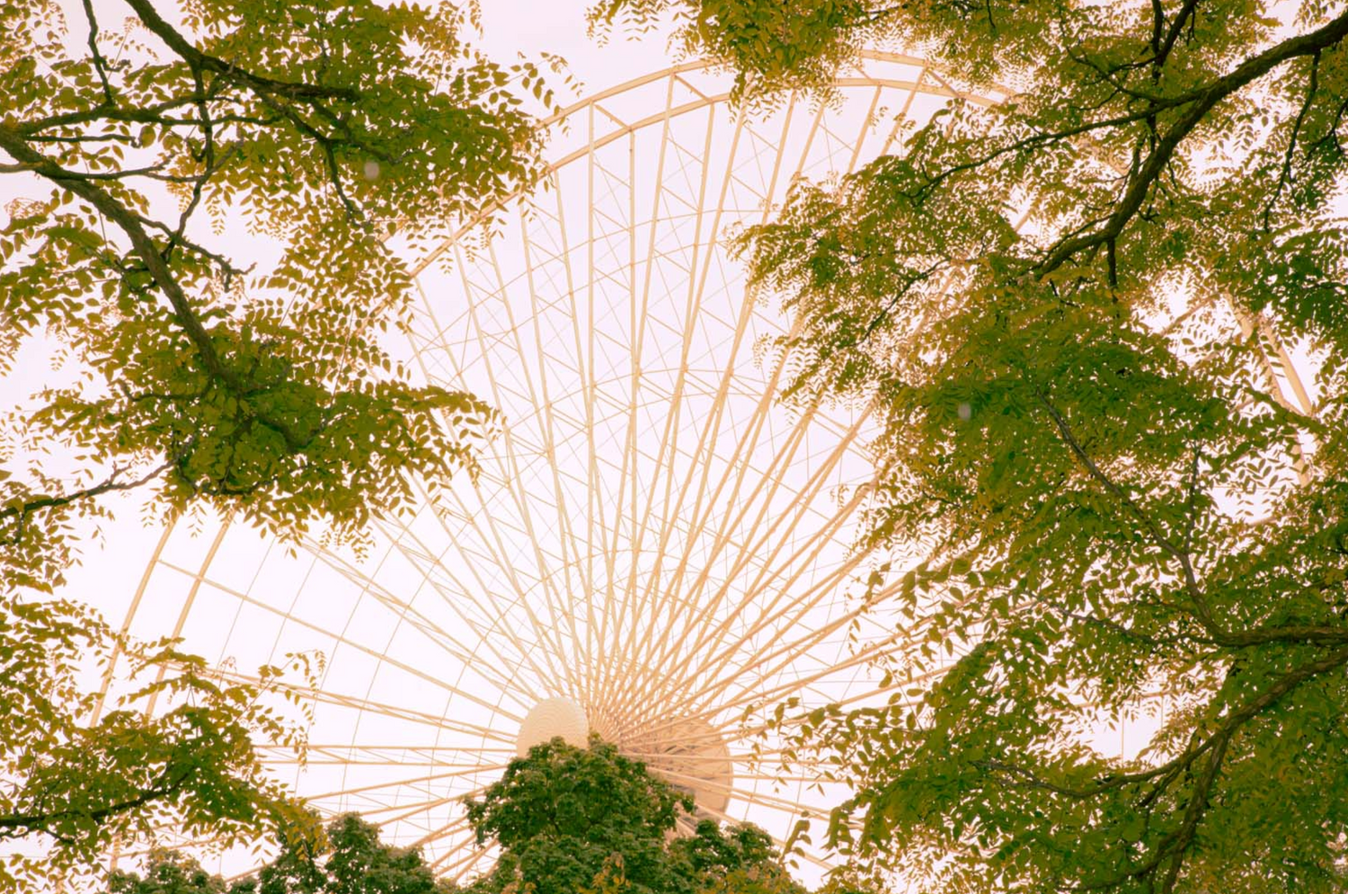 RIESENRAD